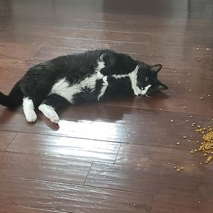 Meet your Posher, Shawn